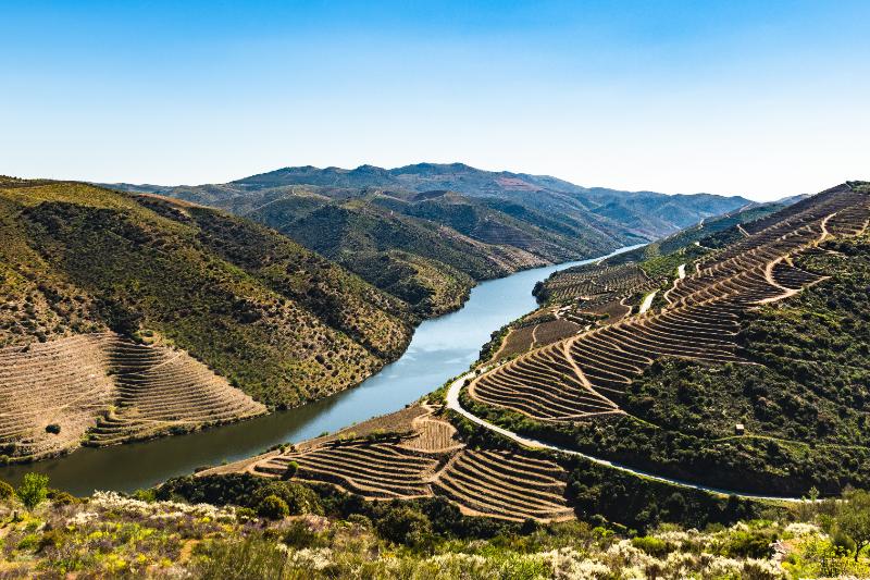 Douro Valley - wine region